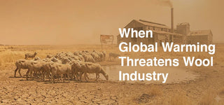 When Global Warming Threatens Wool Industry