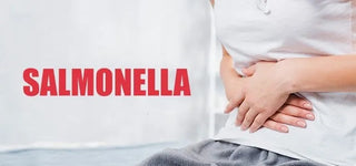 Salmonella Infection Management