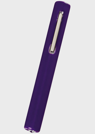 Prestige Standard Disposable Penlight