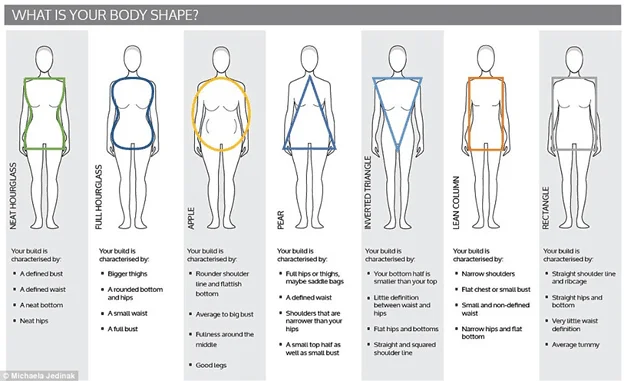 body-shape-description